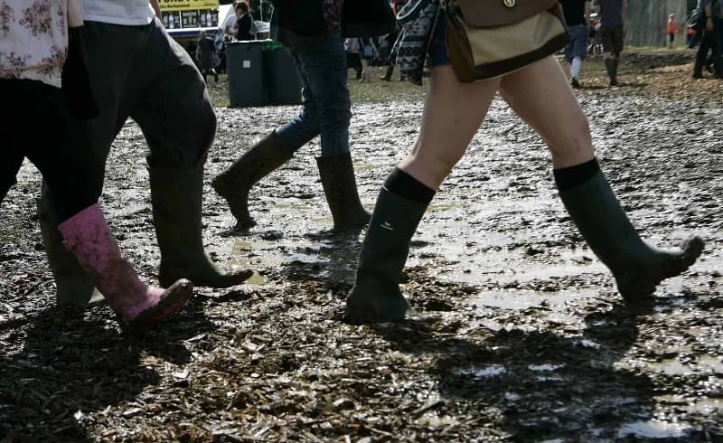 Muddy Festival